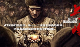 好看的战争电视剧排行榜前十名,硝烟中的英雄传奇