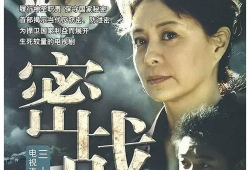 反特谍战电视剧大全,揭秘反特谍战电视剧风云录